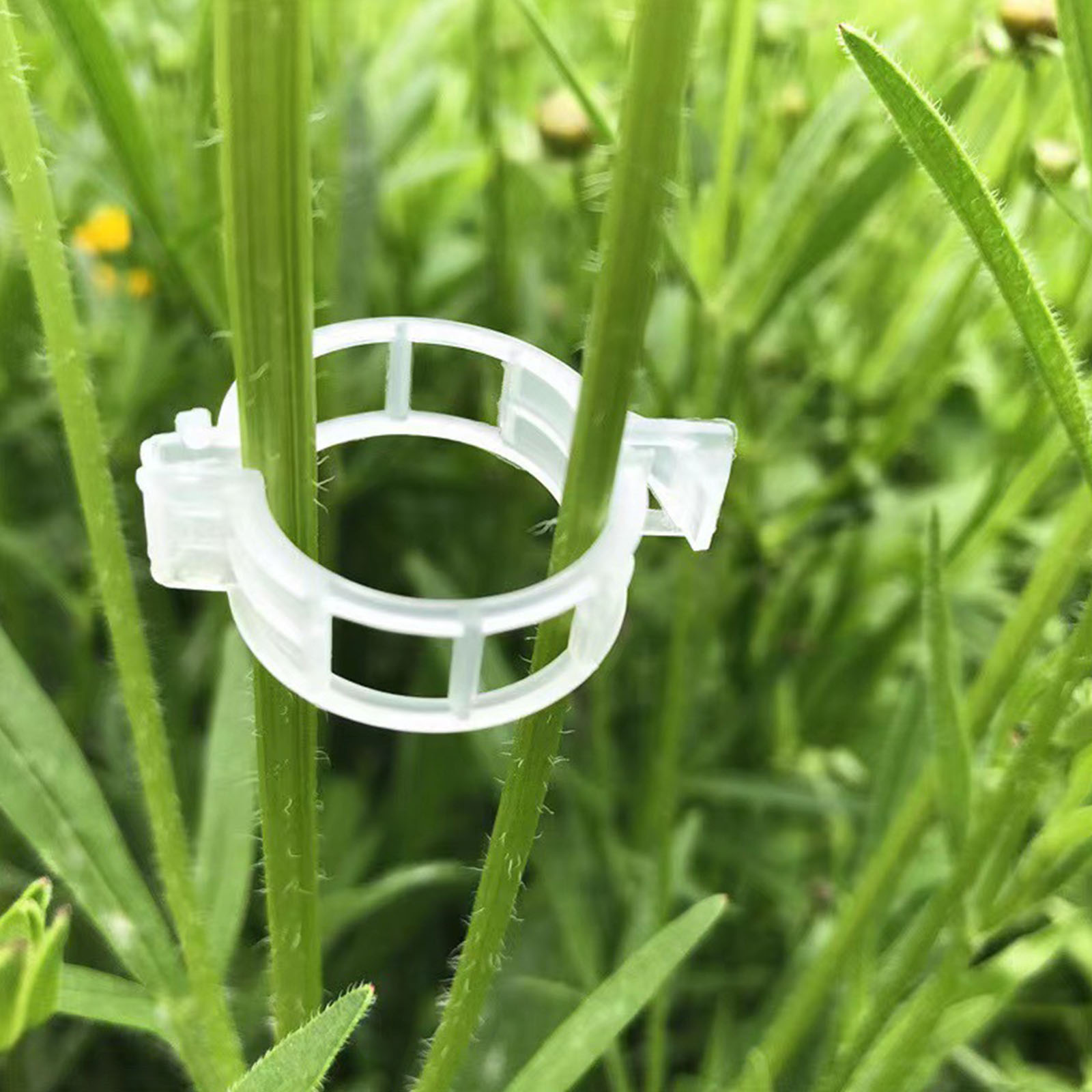Vine Climbing Plastic - Gevormde plastic plantenklem voor het bevestigen
