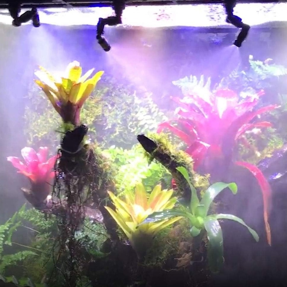 PP Reptiel Fogger Zwart 360 °  - Misting Nozzle Reptile recensie en prijs