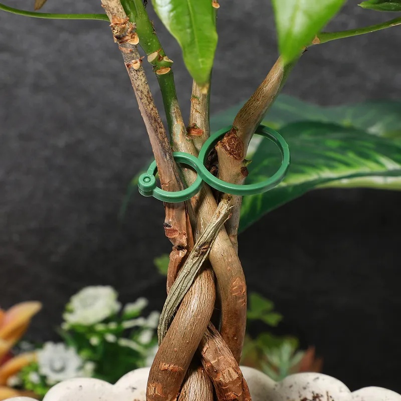 50-400 stuks plantensteunclips - Vine Climbing Plastic recensie en prijs