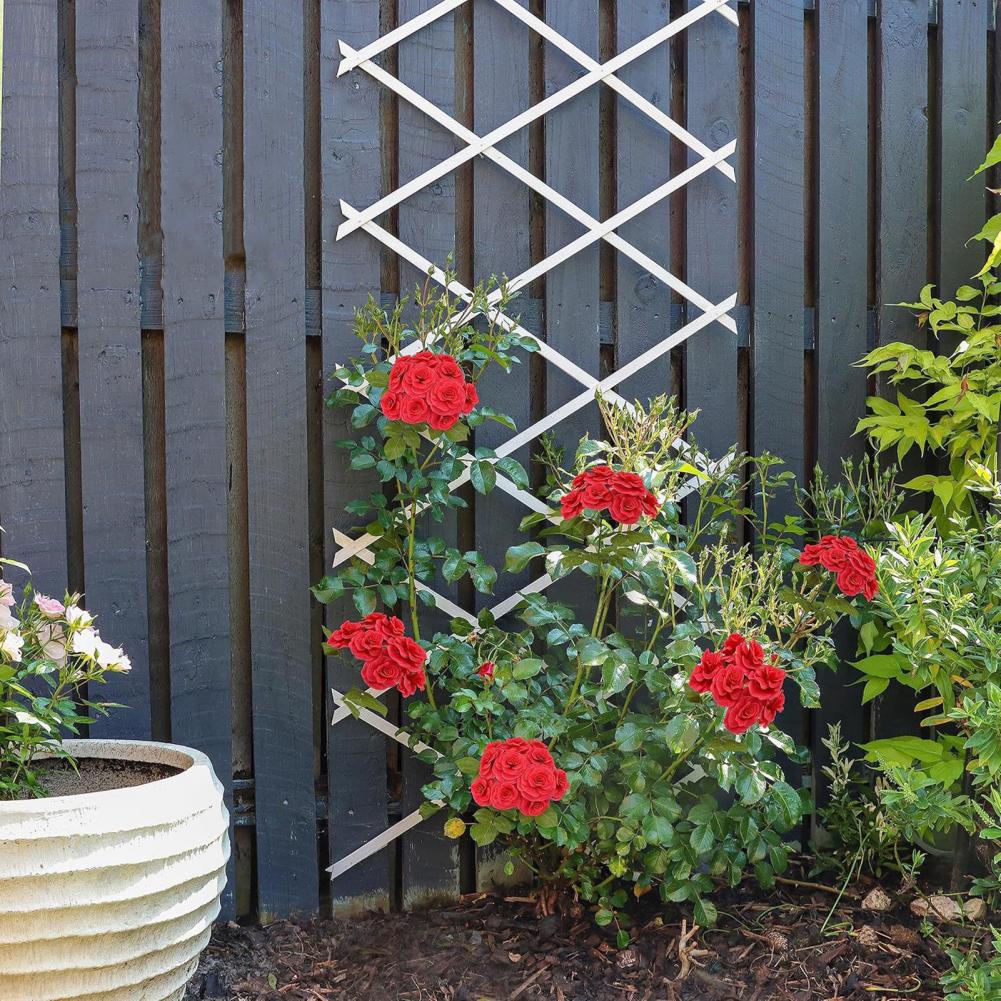 Uitklapbaar tuinrooster 70 x 1 - Vine Climbing Plastic recensie en prijs