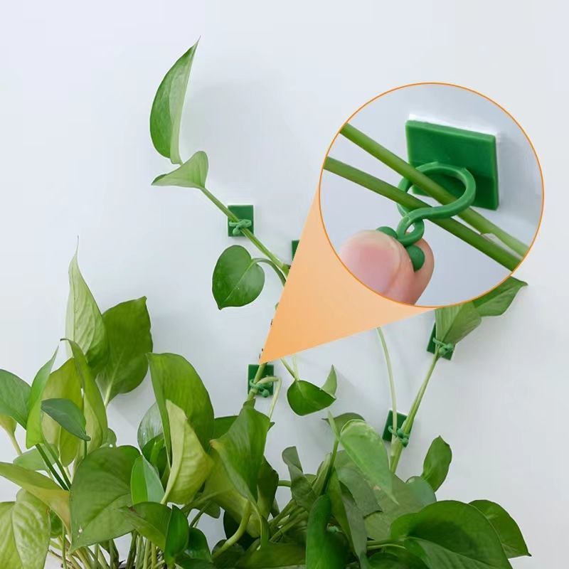 Zelfklevende klimplantenbevest - Vine Climbing Plastic recensie en prijs