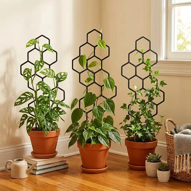 2/4 stuks honingraatdesign pla - Vine Climbing Plastic recensie en prijs