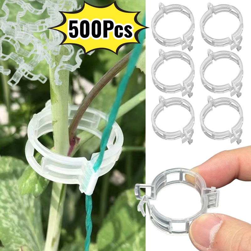 500 Stuks Plastic Plant Onders - Vine Climbing Plastic recensie en prijs