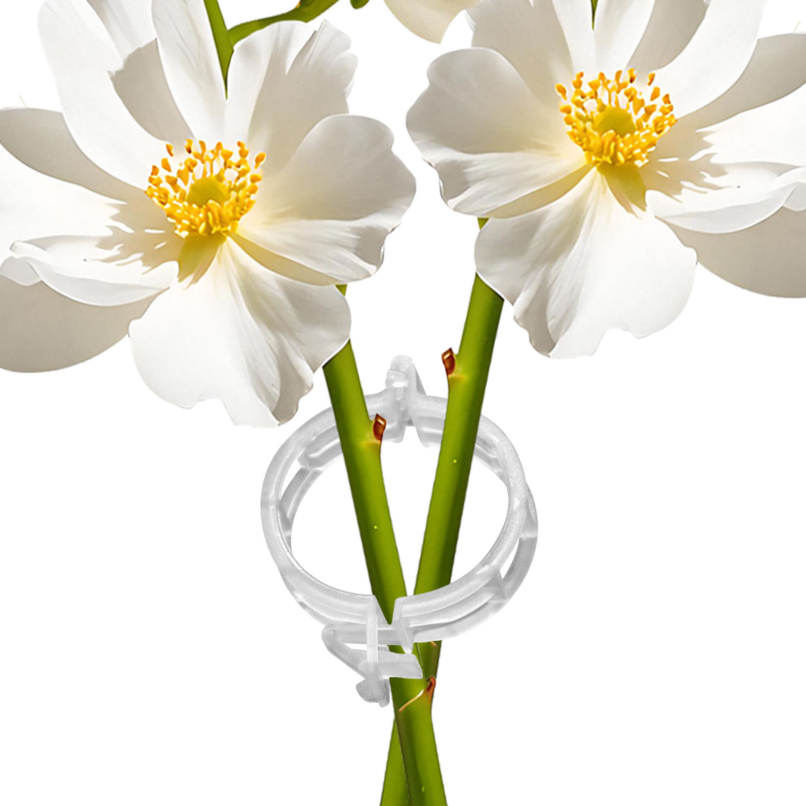 Gevormde plastic plantenklem v - Vine Climbing Plastic recensie en prijs