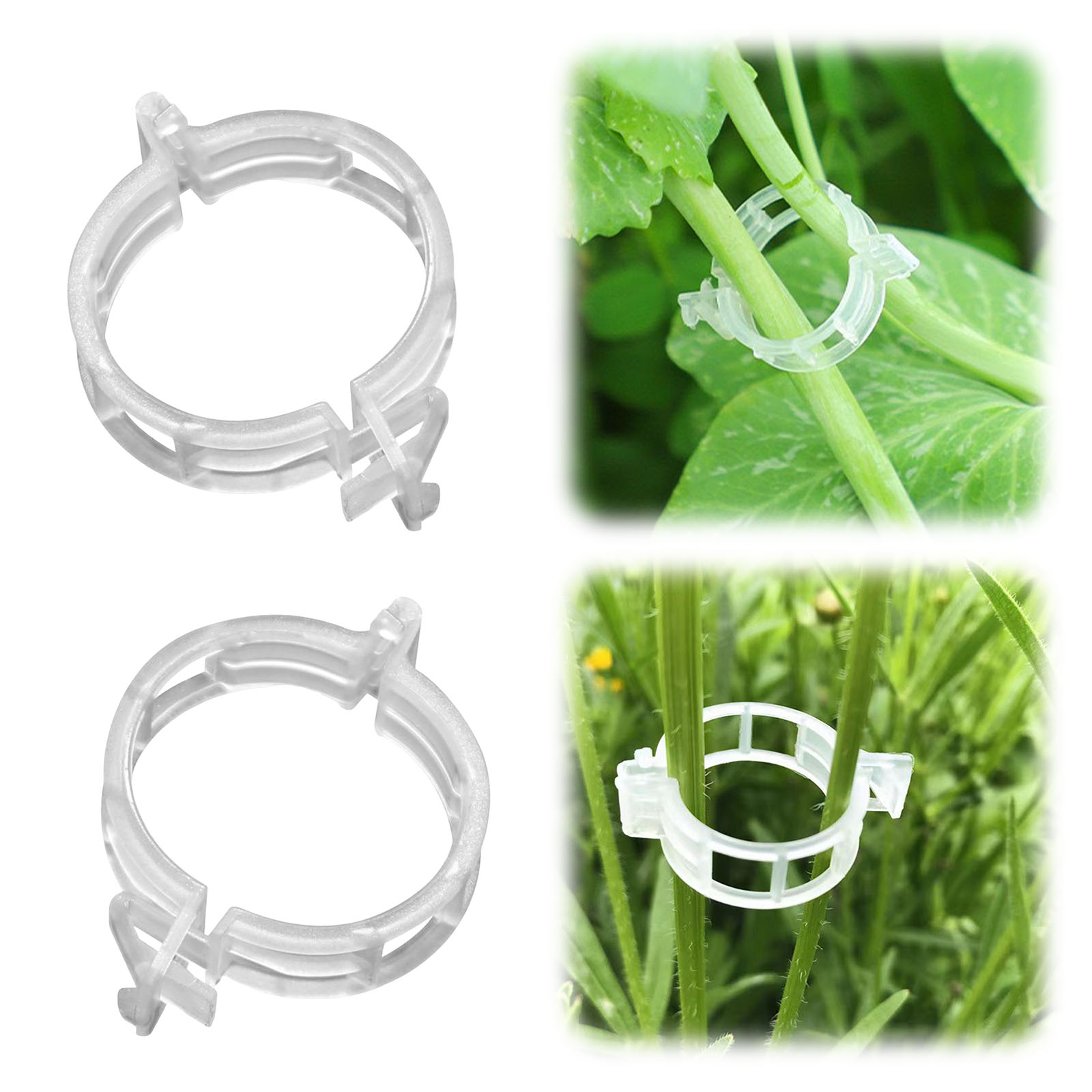 Gevormde plastic plantenklem v - Vine Climbing Plastic recensie en prijs