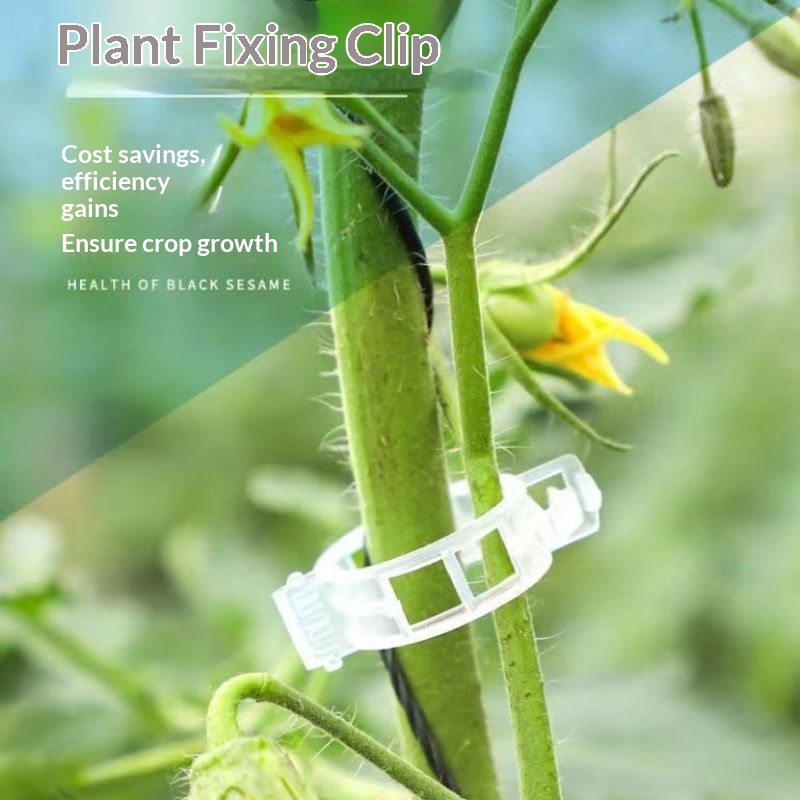 Herbruikbare plastic plantenst - Vine Climbing Plastic recensie en prijs