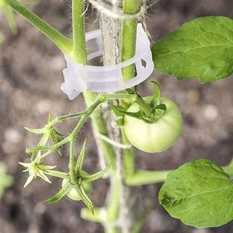 Herbruikbare plastic plantenst - Vine Climbing Plastic recensie en prijs
