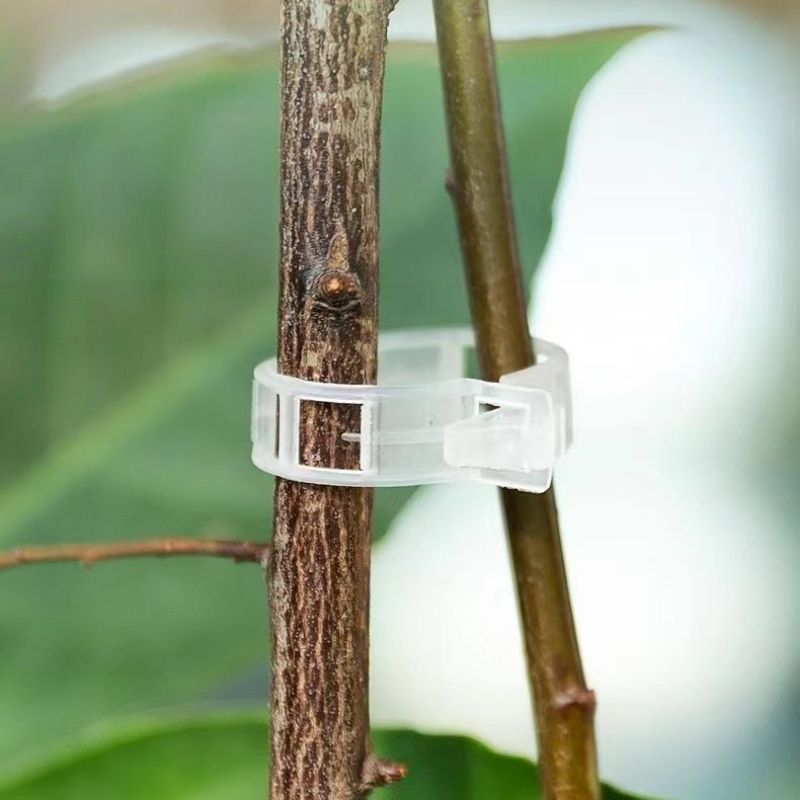 Herbruikbare plastic plantenst - Vine Climbing Plastic recensie en prijs