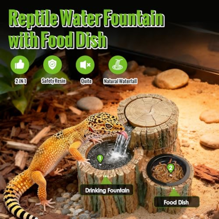 2-in-1 Reptielenfontein met vo - Water Dish Reptile recensie en prijs